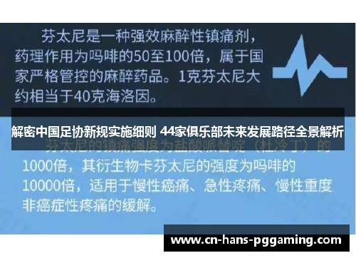 解密中国足协新规实施细则 44家俱乐部未来发展路径全景解析