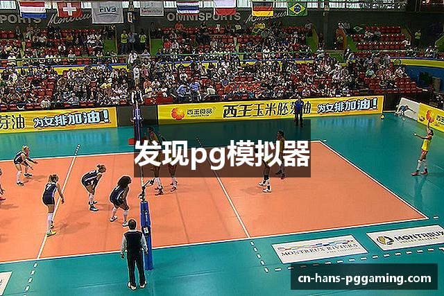 发现pg模拟器